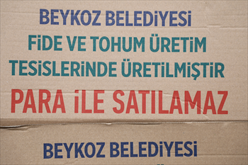 6H0A5385 (1).JPG